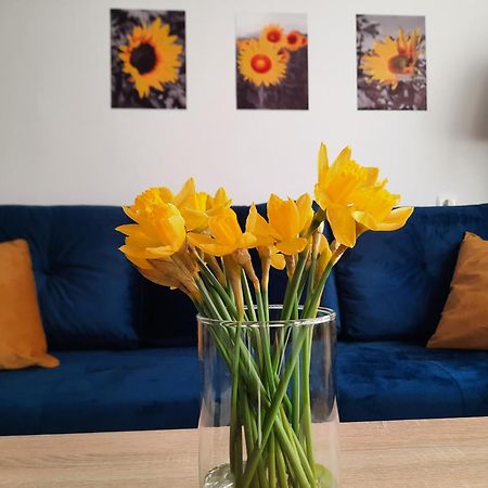 Apartament Baltycka Sardynka Устка Екстериор снимка