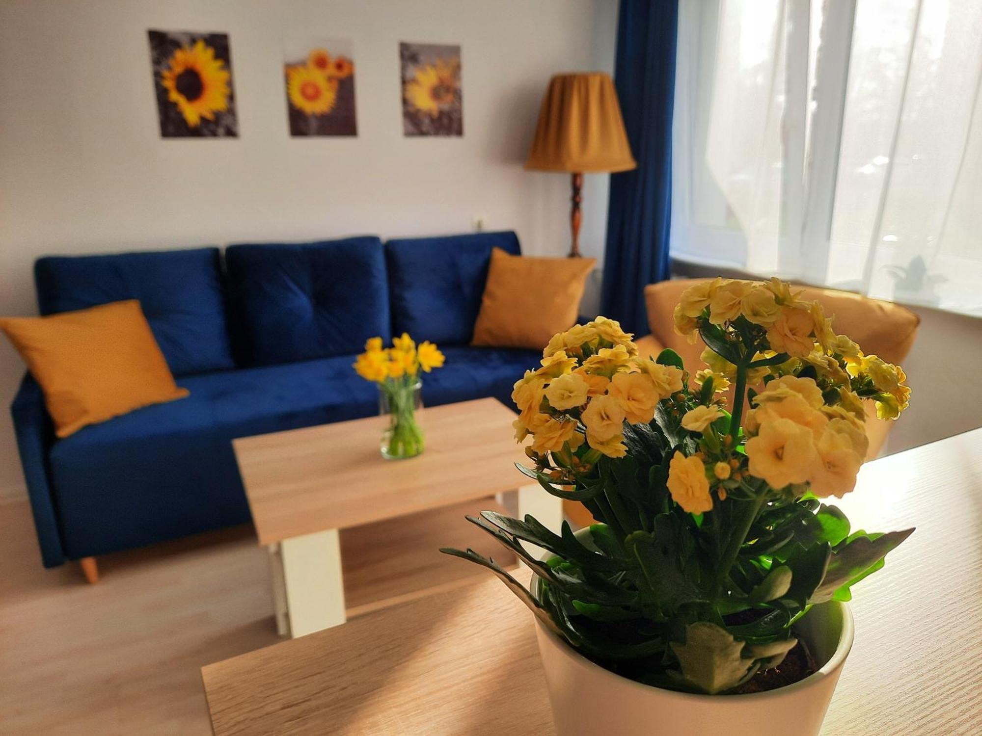 Apartament Baltycka Sardynka Устка Екстериор снимка